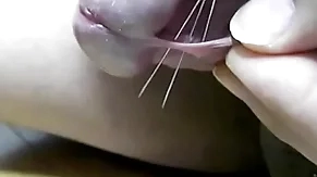 チンポに針を刺す
