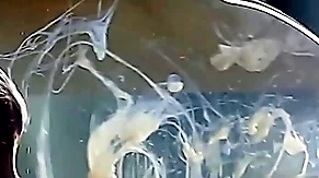 Guy cums in a condom filled up water