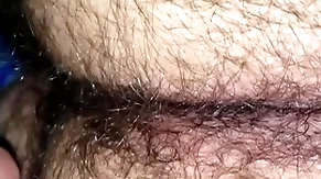 Hairy frank s.