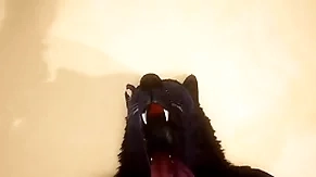 Pov two gay wolves fucking - wildlife