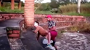 Mamando bantam parque