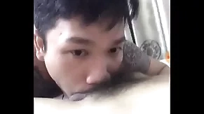 Blowjob Fun vietnamese